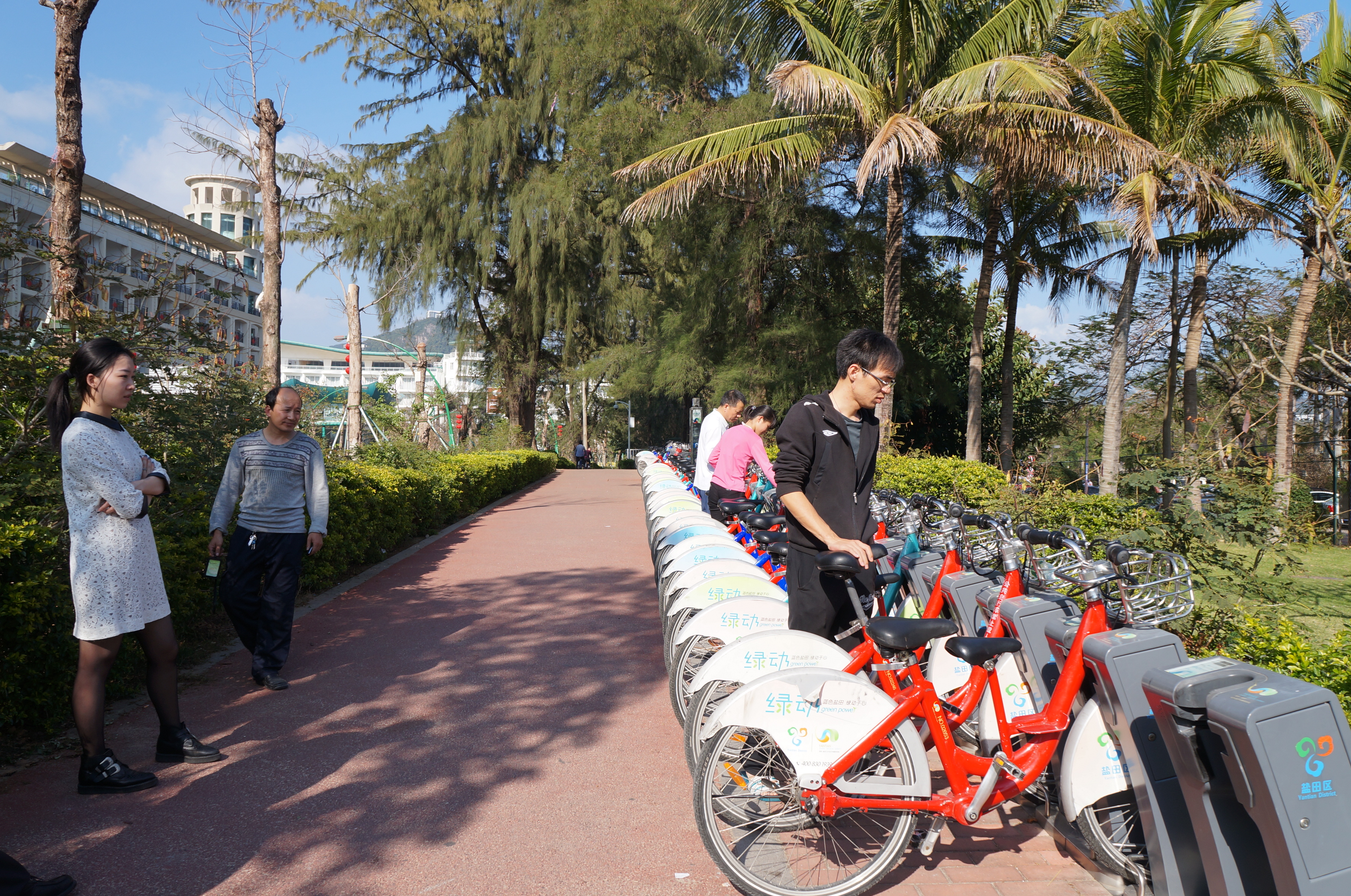 The most successful systems have over 5000 bicycles, like at this docking point in Shenzhen, China. 